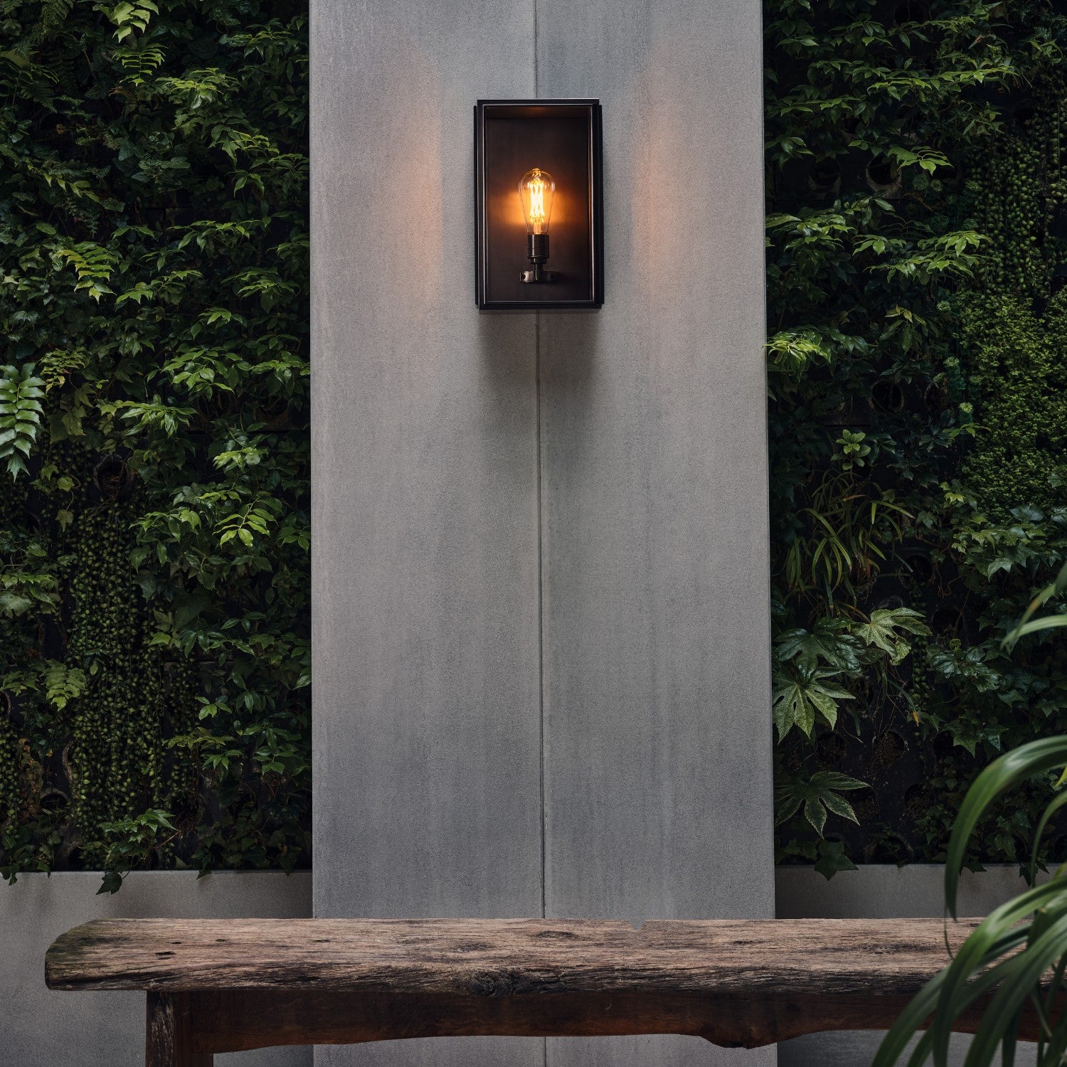 BIRCH MEDIUM - Wall Light