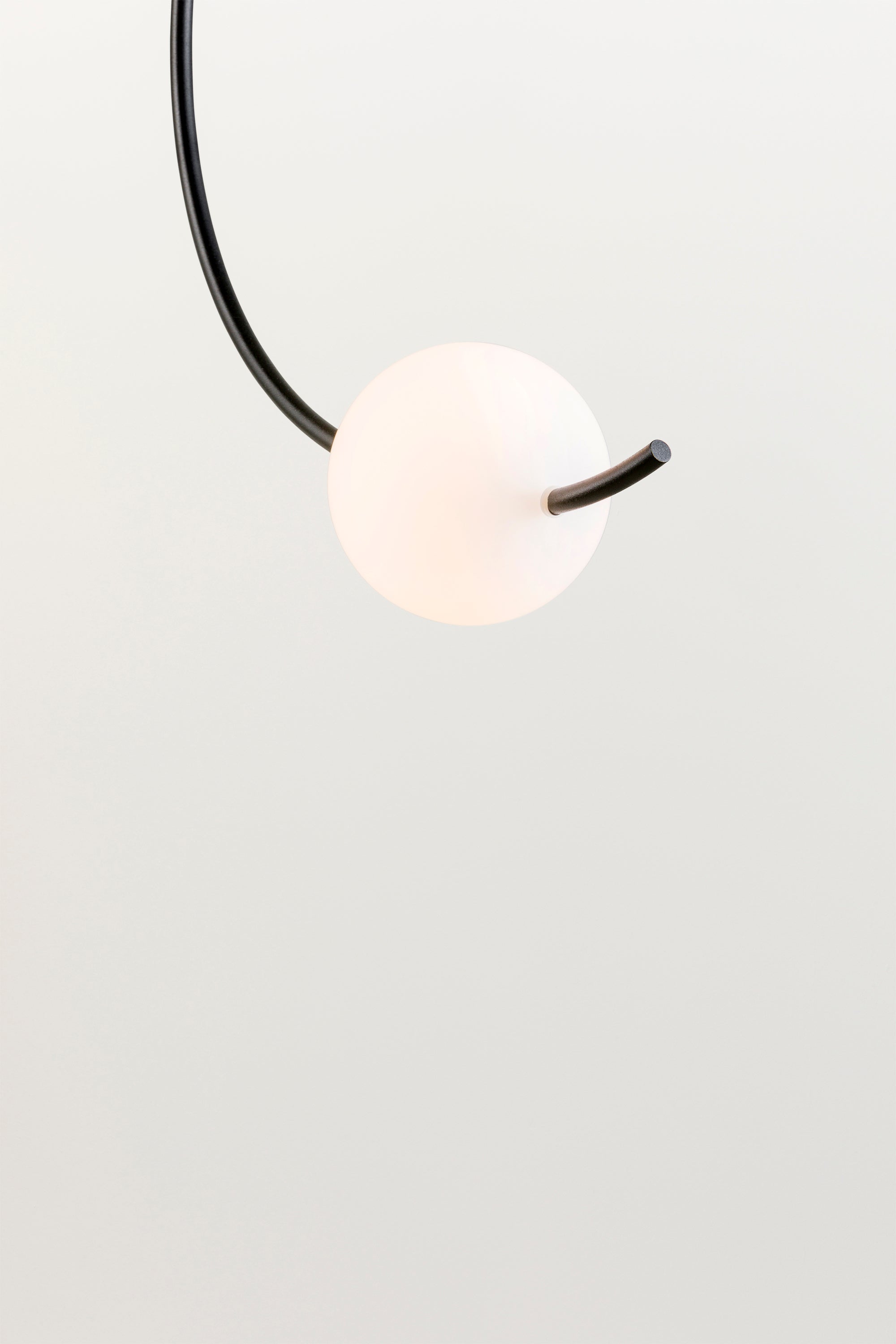 LOOP - Pendant Light