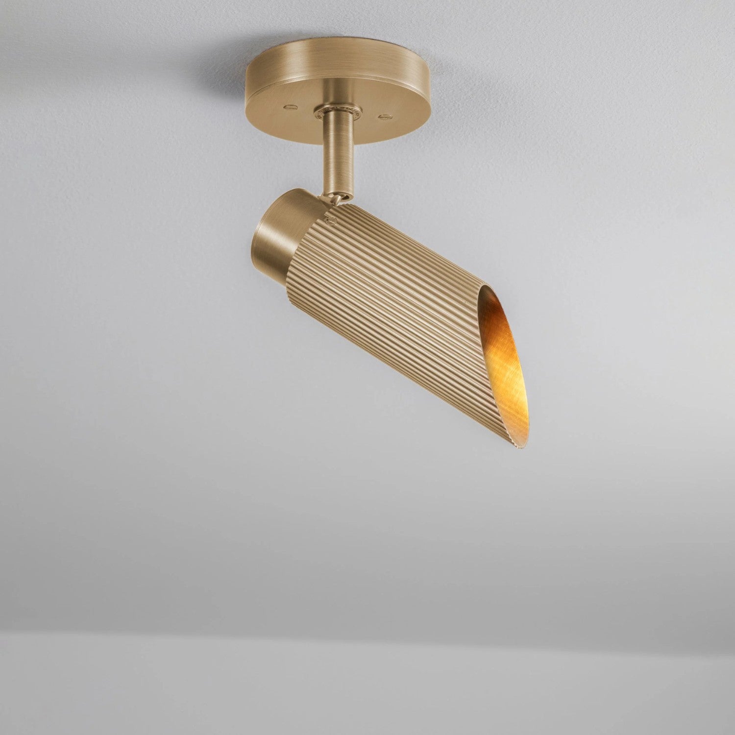 SPOT PRO - Ceiling Light